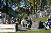 Lower Group Green Bikes